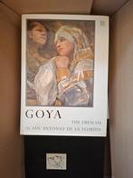 Goya, Ophalen of Verzenden, Zo goed als nieuw, Schilder- en Tekenkunst