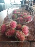 Nep fruit kunst rambutans, Huis en Inrichting, Ophalen of Verzenden