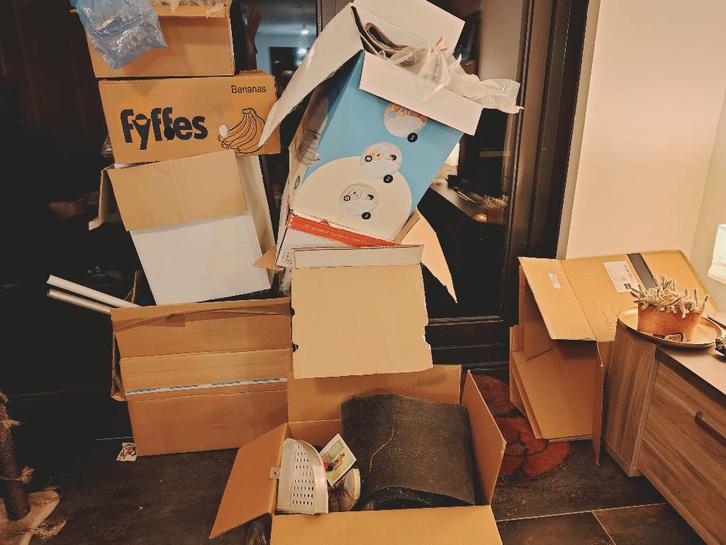 Papieren stevige dozen vanalles wat qua maten voor verhuizen, Doe-het-zelf en Verbouw, Kratten en Dozen, Gebruikt, Doos, 50 tot 75 cm