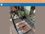 Bench, Dieren en Toebehoren, Hondenbenches, Ophalen of Verzenden, Zo goed als nieuw