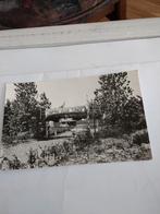 OUDE. TONGE. CAMPING, Ophalen of Verzenden, 1960 tot 1980