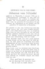 Schijndel Johanna 1923 Rosmalen 1965 Den Bosch, Verzamelen, Bidprentjes en Rouwkaarten, Ophalen of Verzenden, Bidprentje
