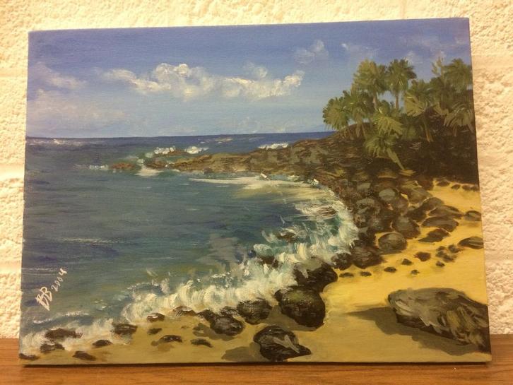 Olieverf Schilderij - Tropisch Strand Stilleven, Antiek en Kunst, Kunst | Schilderijen | Klassiek, Ophalen