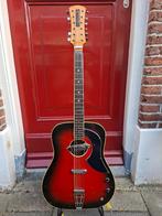 Menghini 12 snarige Gitaar 1968., Ophalen, Gebruikt, Hollow body, Overige merken