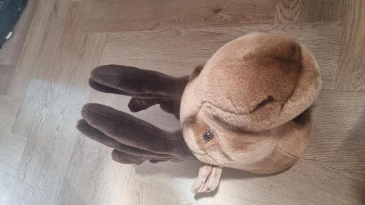 Dierenkop Eland Wild & Soft Bibib, Kinderen en Baby's, Kinderkamer | Inrichting en Decoratie, Nieuw, Wanddecoratie, Ophalen of Verzenden