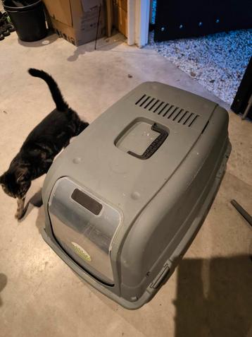 Kattenbox, kattenbak beschikbaar voor biedingen