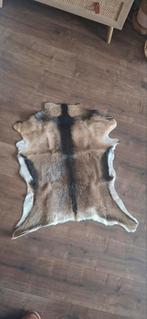 Geiten vachtje, Ophalen of Verzenden, Rechthoekig, 50 tot 100 cm