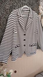 Setter gestreept jasje maat 48, Kleding | Dames, Blauw, Maat 46/48 (XL) of groter, Ophalen of Verzenden, Zo goed als nieuw