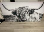 Schilderij van Schotse Hooglander, Ophalen, Zo goed als nieuw, Schilderij, 75 tot 100 cm