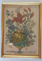 ingelijste bladzijde uit botanisch boek, Antiek en Kunst, Ophalen of Verzenden