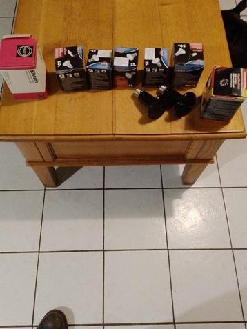 reptiellen beschikbaar voor biedingen