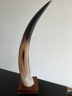 Decoratie - natuurhoorn op een houten standaard, Ophalen of Verzenden