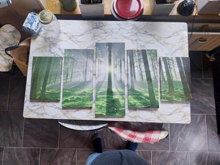 5-luik Schilderij Bos in Ochtendlicht, Huis en Inrichting, Woonaccessoires | Schilderijen, Tekeningen en Foto's, Zo goed als nieuw