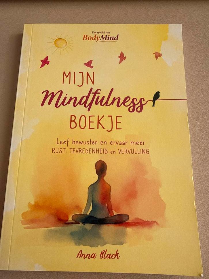 Mijn Mindfulness Boekje - Anna Black, Boeken, Esoterie en Spiritualiteit, Zo goed als nieuw, Instructieboek, Meditatie of Yoga