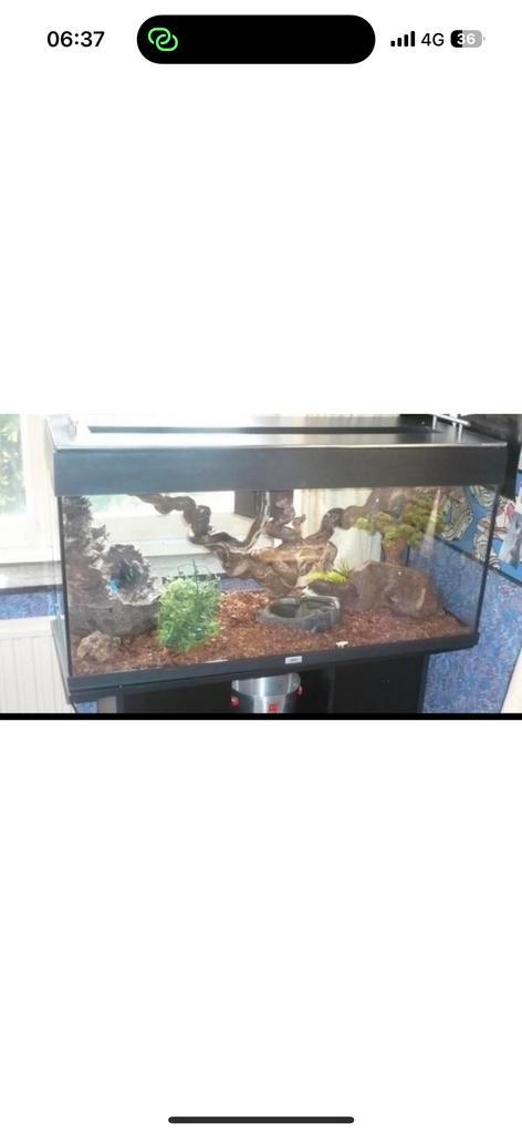 Volledig uitgerust multi terrarium, Dieren en Toebehoren, Reptielen en Amfibieën | Toebehoren, Zo goed als nieuw, Ophalen