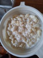 Kefir, Ophalen