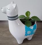 Mooie mooie Mother of thousands plantje in alpaca sierpotje., Ophalen, Overige soorten, In pot, Minder dan 100 cm