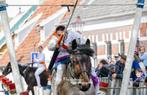 Trekpaard merrie, Dieren en Toebehoren, Paarden, Merrie, B, Gechipt, 7 tot 10 jaar
