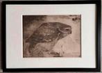 Jan Mankes 1889-1920 / Heliogravure Roofvogel op Tak 1923, Antiek en Kunst, Ophalen of Verzenden