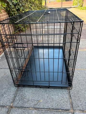 Honden bench te koop beschikbaar voor biedingen
