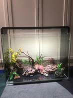 Superfish 80 liter Aquarium, Dieren en Toebehoren, Vissen | Aquaria en Toebehoren, Ophalen of Verzenden, Gebruikt, Leeg aquarium