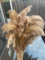 Te koop een bos pampas pluimen., Ophalen of Verzenden, Zo goed als nieuw