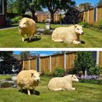 Tuinbeeld schaap polyester dieren, schapen, decorbeelden, Ophalen, Nieuw, Kunststof, Dierenbeeld