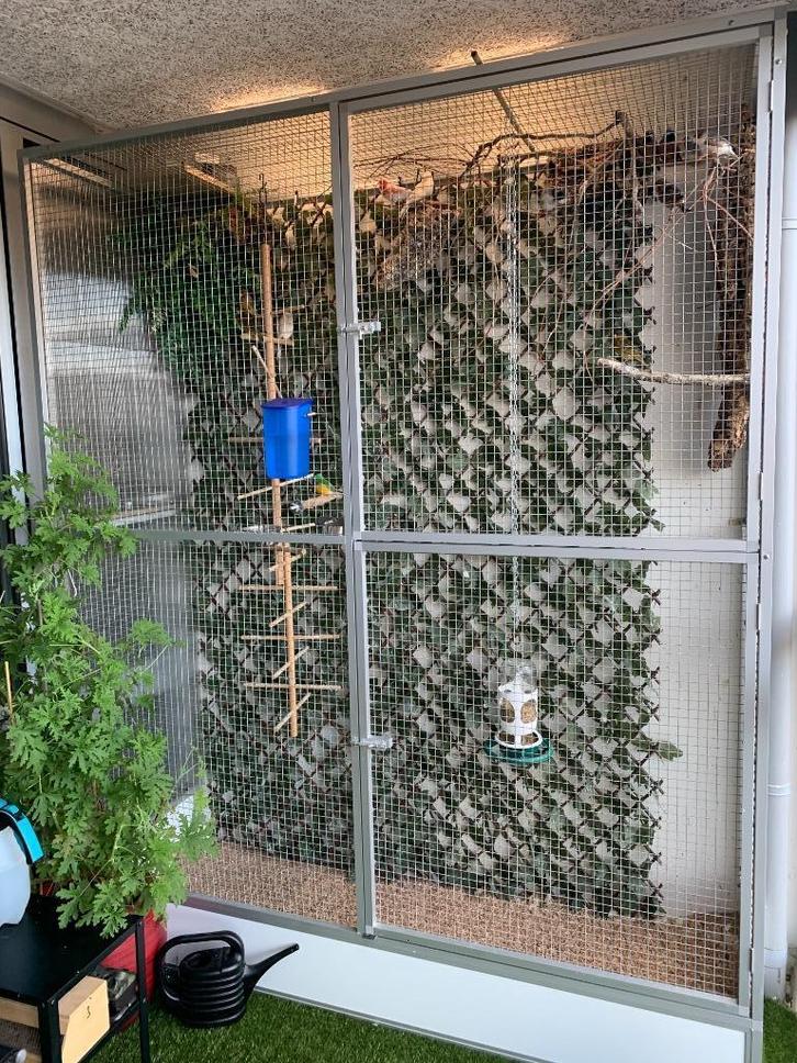 binnen / buitenvoliere, Dieren en Toebehoren, Vogels | Hokken en Kooien, Zo goed als nieuw, Volière, Aluminium, Ophalen