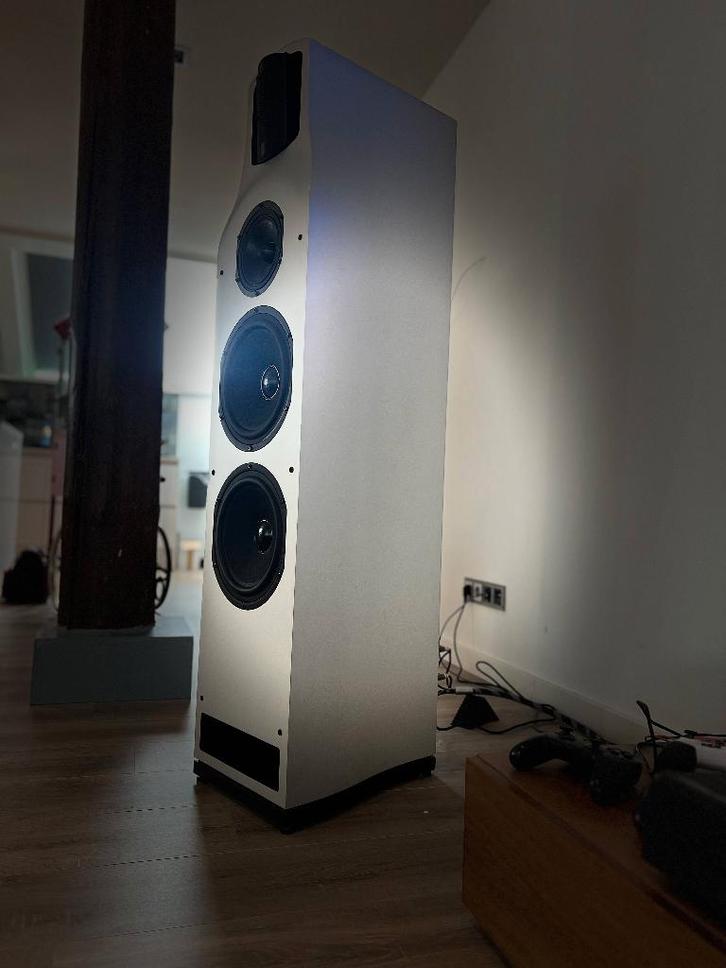 Vlaggenschip T+A TCI 1RE + Buizen Electrostatische Hogetoon, Audio, Tv en Foto, Luidsprekers, Zo goed als nieuw, Front, Rear of Stereo speakers