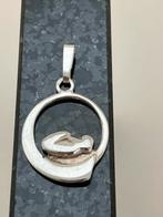Zilveren hanger, Ophalen of Verzenden, Zo goed als nieuw, Zilver, Overige voorstellingen