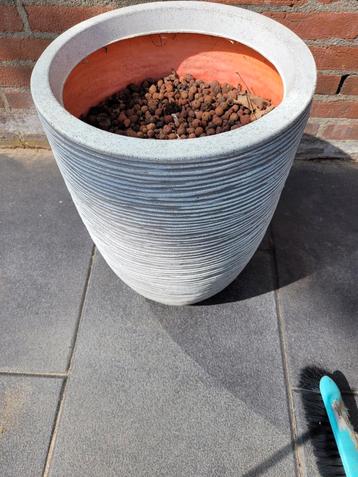 Bloem/plantenbak beschikbaar voor biedingen