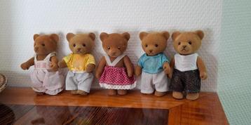 6 schattige kleine beertjes beschikbaar voor biedingen