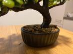 Fake plants x 6, Huis en Inrichting, Kamerplanten, Ophalen of Verzenden, Overige soorten, Minder dan 100 cm