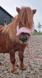 GEZOCHT: sulky, Dieren en Toebehoren, Ophalen of Verzenden