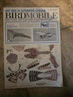 BIRDMOBILE uil, Ophalen of Verzenden, Nieuw, 1:50 tot 1:144
