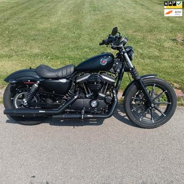Harley Davidson XL 883N Sportster Iron 2019 XL883N XL 883 N beschikbaar voor biedingen