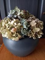Grote bolvaas met hortensia, Ophalen of Verzenden, Zo goed als nieuw