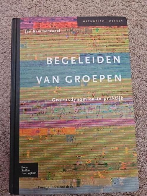Jan Remmerswaal - Begeleiden van groepen, Boeken, Politiek en Maatschappij, Zo goed als nieuw, Maatschappij en Samenleving, Nederland
