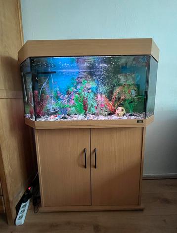 Aquarium beschikbaar voor biedingen