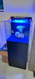 Zeeaquarium met zwart meubel, Ophalen, Leeg aquarium