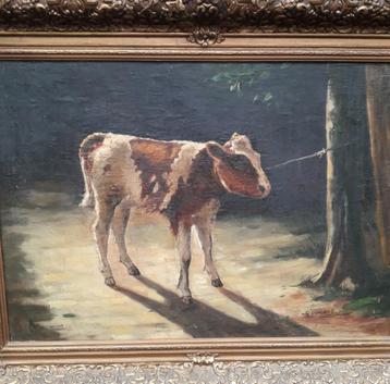 prachtig schilderij van een kalfje beschikbaar voor biedingen