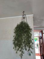 Kunst Hangplant, Huis en Inrichting, Kamerplanten, Ophalen, Overige soorten, Halfschaduw, In pot