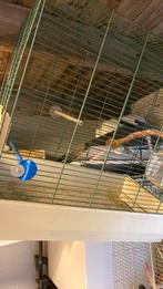 Vogels kooien, Dieren en Toebehoren, Ophalen of Verzenden, Hout, Vogelkooi