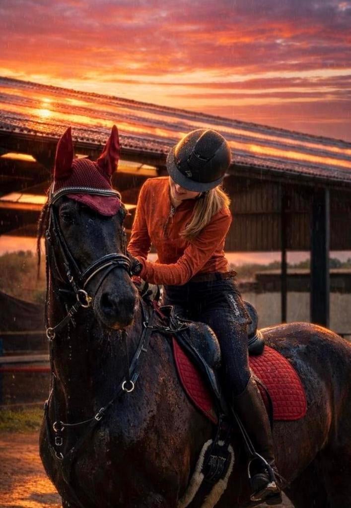 Betrouwbare bijrijder zoekt een paard, Dieren en Toebehoren, Ophalen of Verzenden, Zo goed als nieuw