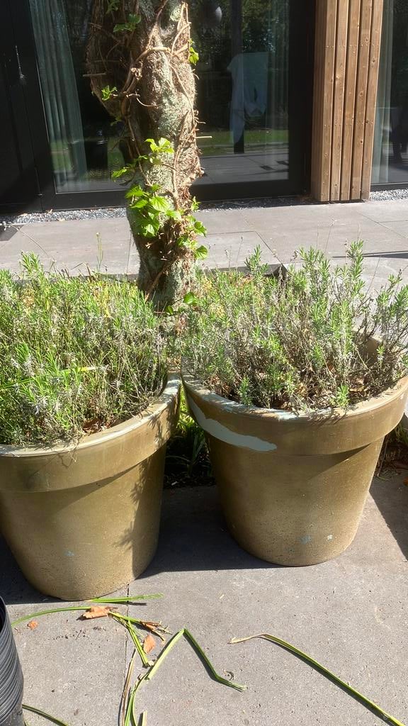 Gratis kweek bakjes / bloempot, Ophalen, Kunststof, Minder dan 30 cm, Rond