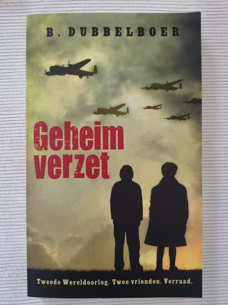 B Dubbelboer - Geheim verzet, Ophalen of Verzenden, Zo goed als nieuw, B Dubbelboer
