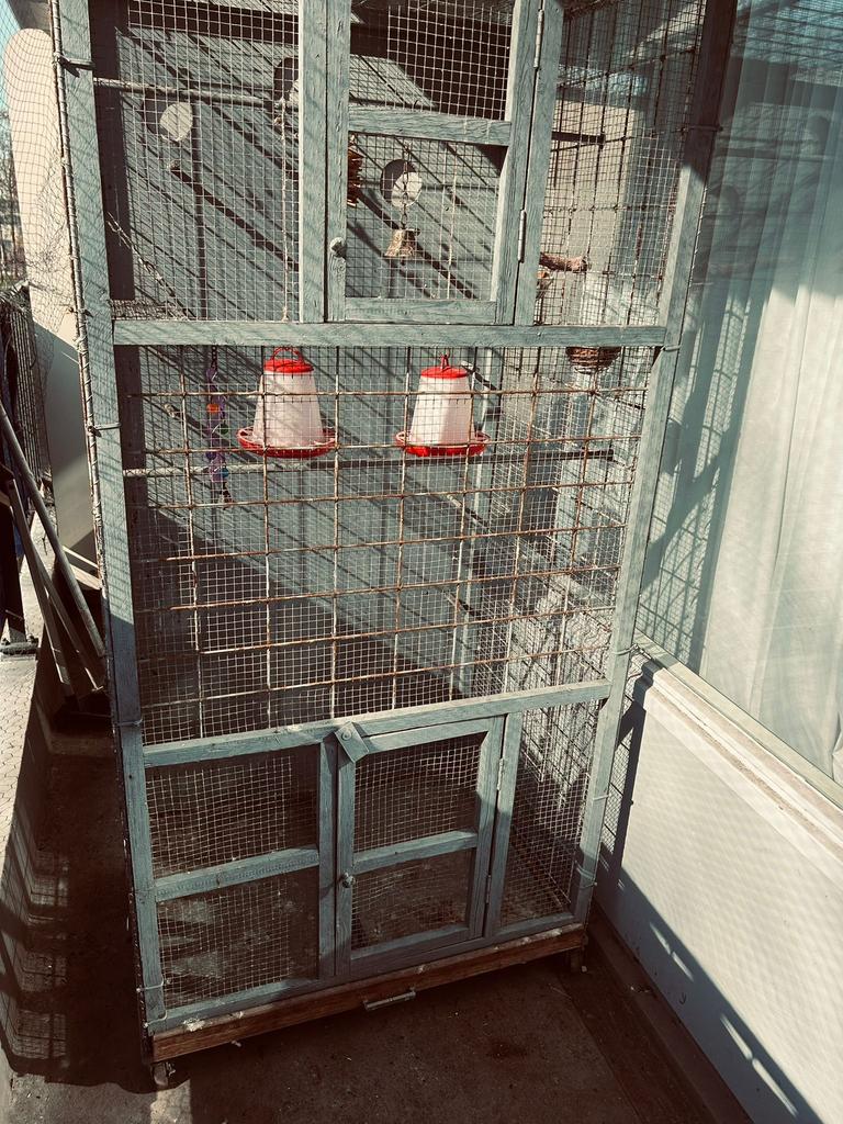 Groete buiten vogelkooi / volière, Dieren en Toebehoren, Vogels | Hokken en Kooien, Ophalen, Gebruikt, Metaal, Vogelkooi