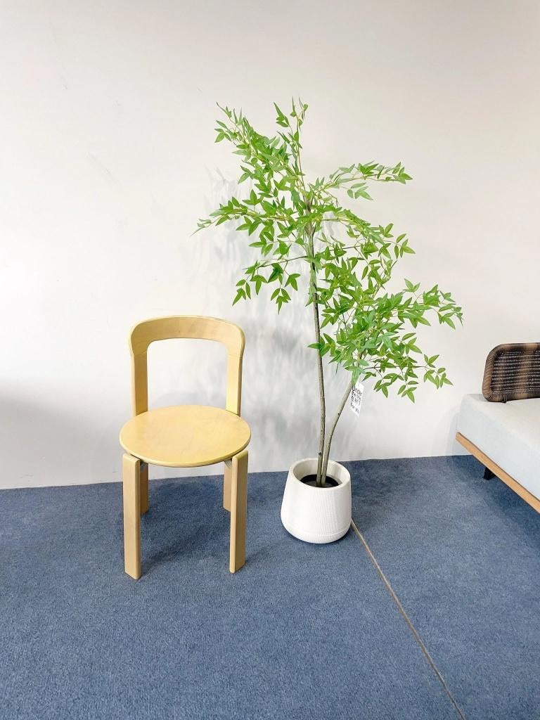 Bruno Rey Stoelen – Origineel Kusch + Co – Set van 4, Ophalen