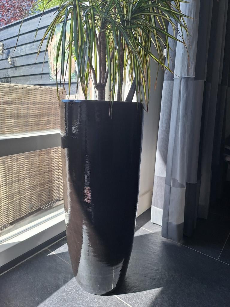 Mooie zwarte bloempotten voor binnen - Intratuin, Tuin en Terras, Bloempotten, Overige materialen, Rond, Binnen, Zo goed als nieuw