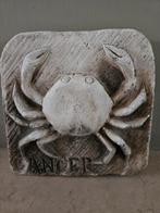 zwaar stenen tegel met Krab, Ophalen of Verzenden